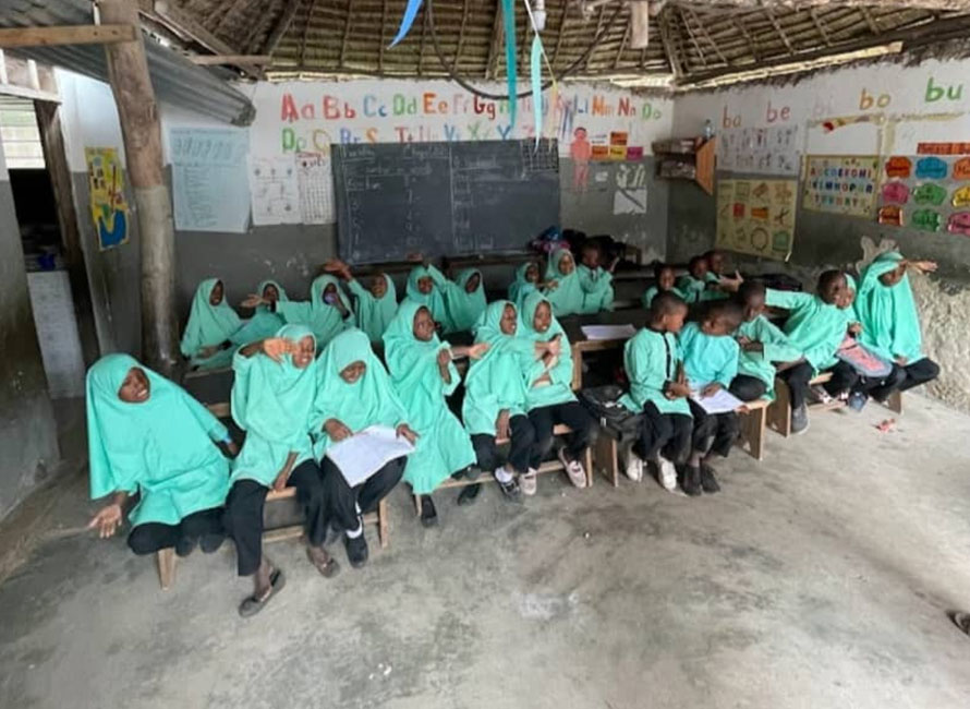 school volunteer